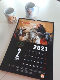 K2.jpg
