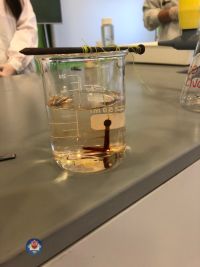 pokazy chemiczne 2021 (11).jpg