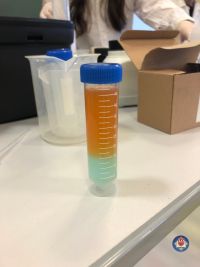 pokazy chemiczne 2021 (9).jpg